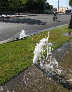Menlo Park sprinkler issues